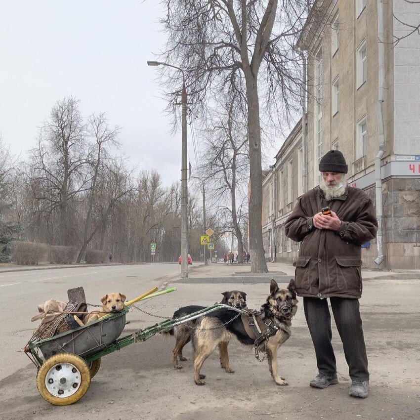 19 работ Дмитрия Маркова: скромная красота российских улиц