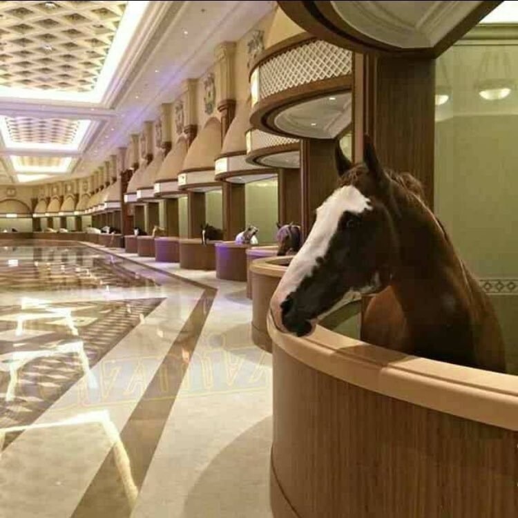 Только в Дубае можно увидеть конюшни с мраморным полом