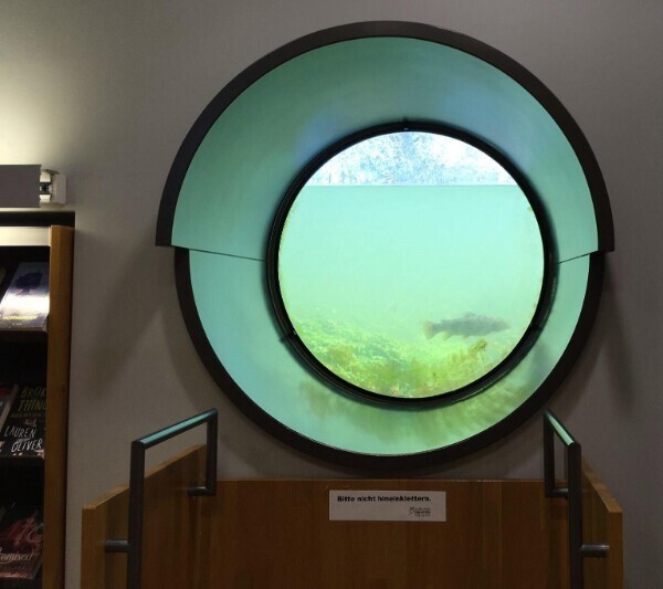 1. Подводное окно в библиотеке. С видом на обитателей пруда