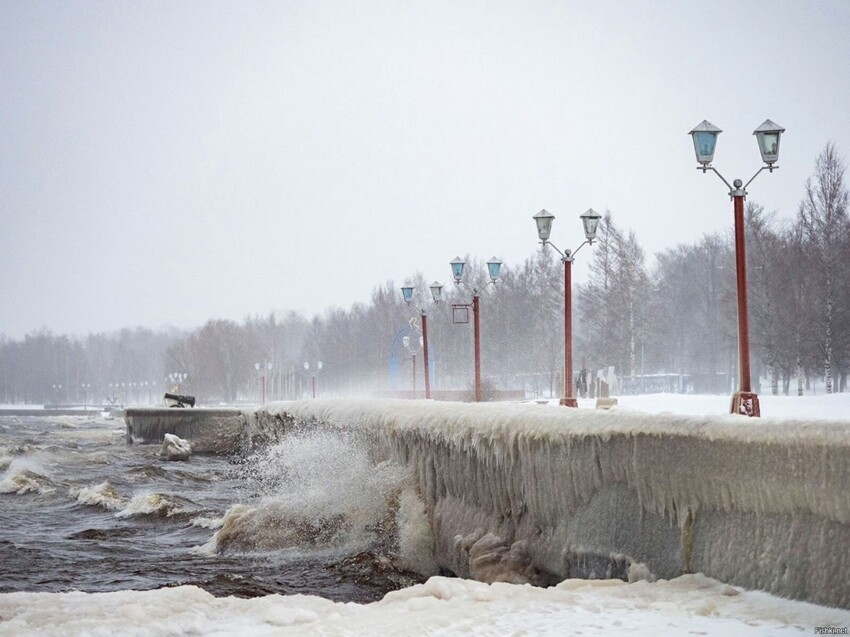 Петрозаводске