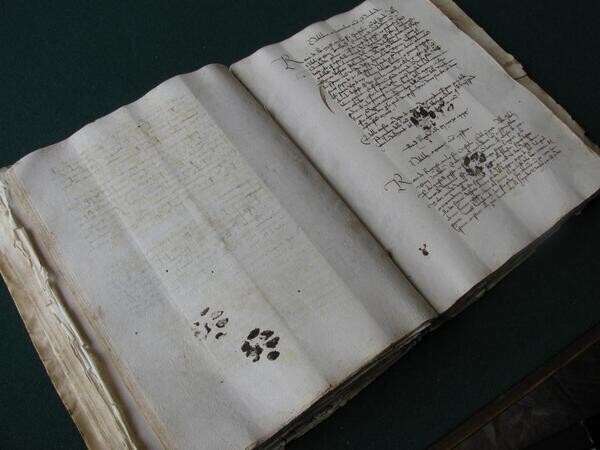 Средневековые отпечатки кошачьих лап (около 1100-х гг.). У 900-летней кошечки проблемы...