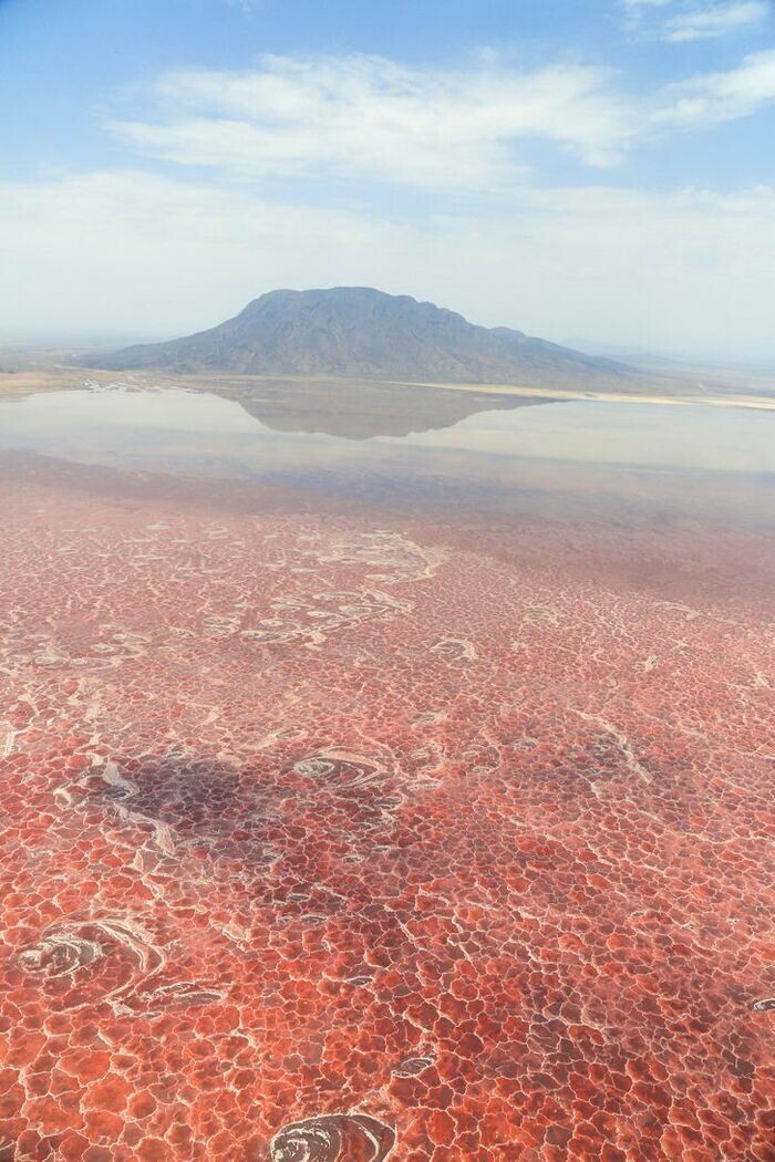 Солёное озеро в Танзании, поверхность которого красного цвета из-за большого содержания солей и минералов