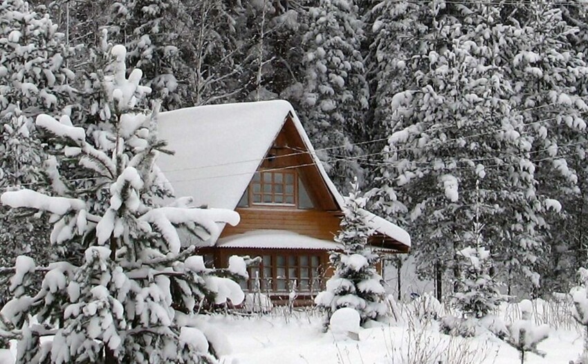 Домик в лесу, зима, снег