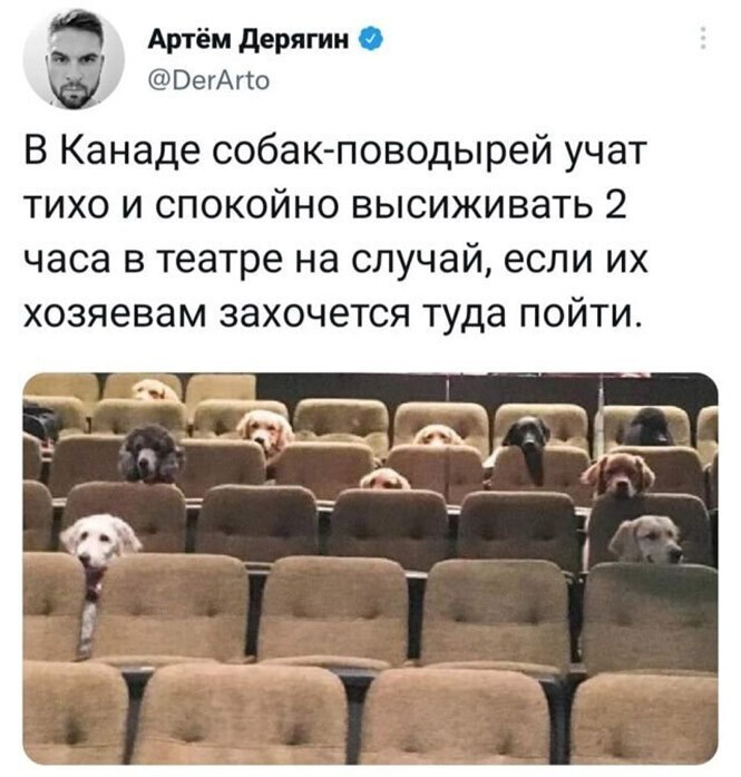 Смешные и познавательные картинки