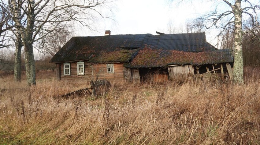 Заброшенная деревня в лесу. Старые дома