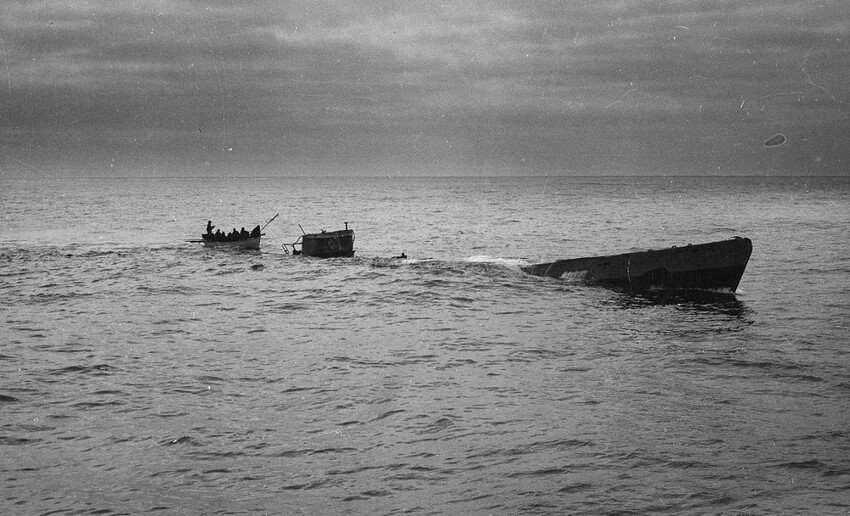 28. Во время войны британцы дрессировали чаек, чтобы те слетались к перископам подводных лодок и таким образом помогали их обнаружить.