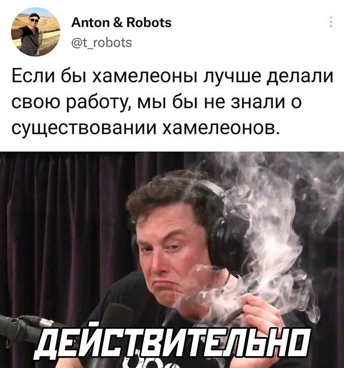 Скрины из соцсетей