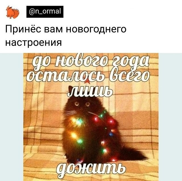 Скрины из соцсетей