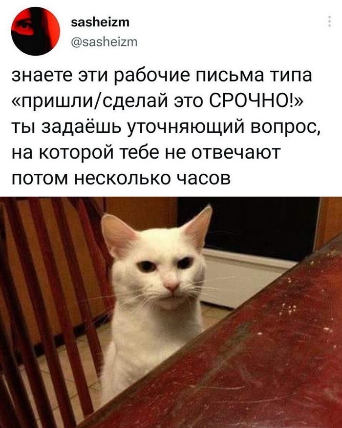 Скрины из соцсетей