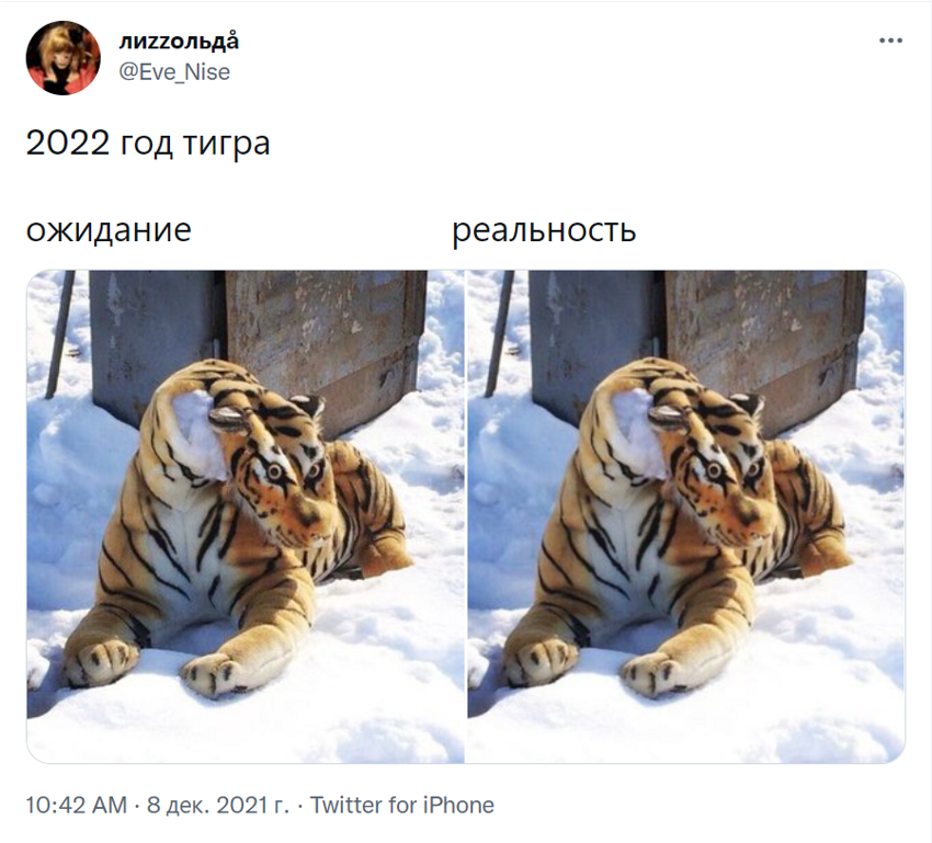 Годы после тигра. Тигр 2022. Год тигра 2022. Встреча года тигра. Ждем тигра.