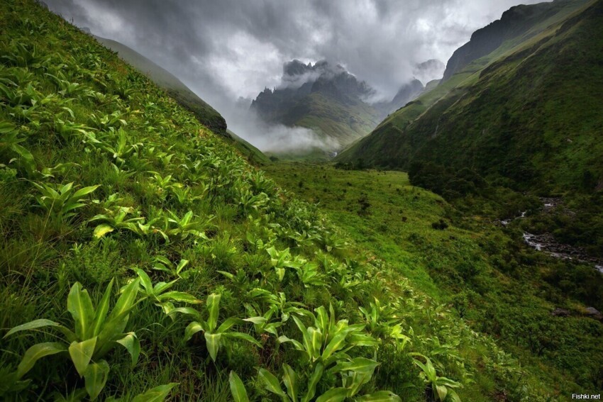 Премия Natural Landscape Photography Awards была учреждена, чтобы выделить пе...