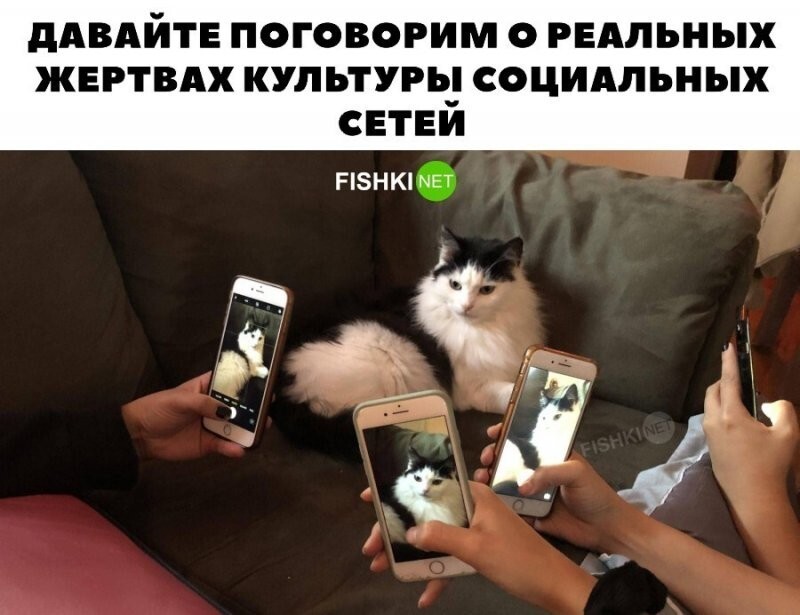 Как часто фоткаете животных?