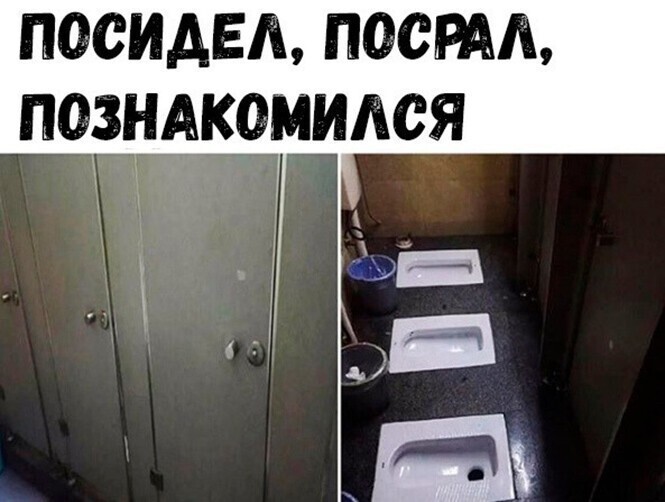 Смешные и познавательные картинки