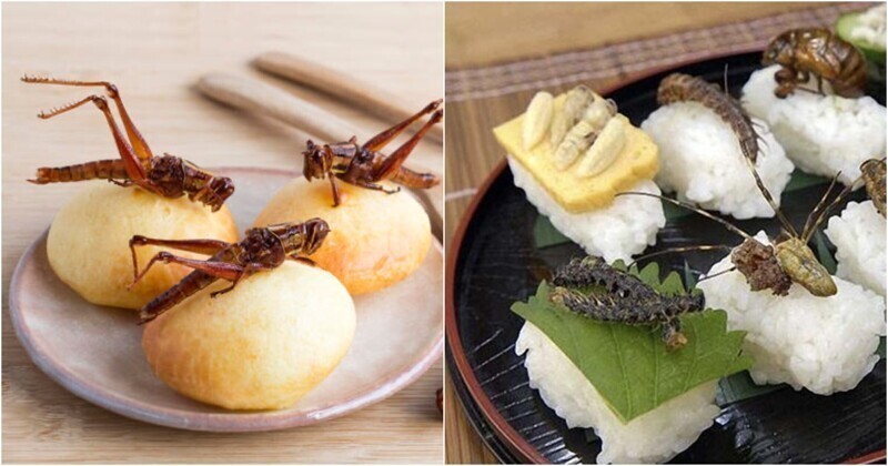 Поедание насекомых в Японии