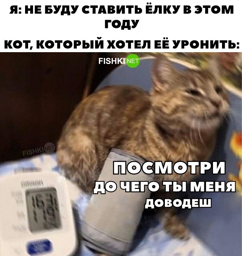 Посмотри до чего ты меня доводишь