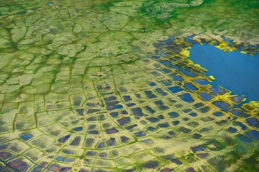 Полигональная тундра, или царство квадратных болот