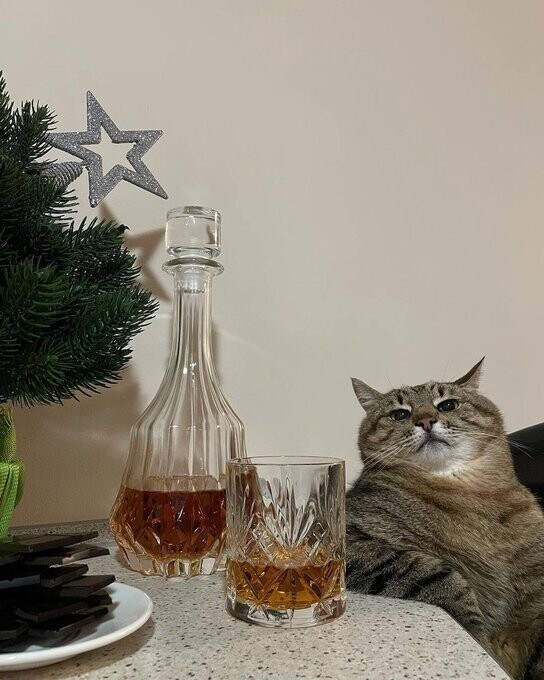 Ждёмсс)))))