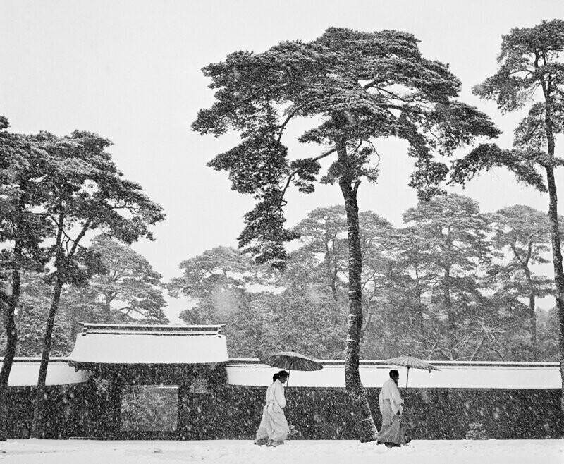 Синтоистские священники в саду храма Мэйдзи, Токио, 1951. Фотограф Вернер Бишоф