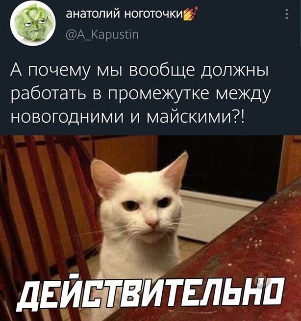 Смешные и познавательные картинки