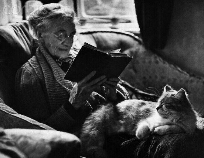 12. Пожилая женщина читает книгу с кошкой на коленях, 1944 год
