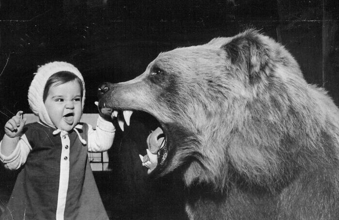 27. Маленькая девочка рычит на чучело медведя гризли на шоу в Чикагском Колизее. Чикаго, Иллинойс, 1967 год