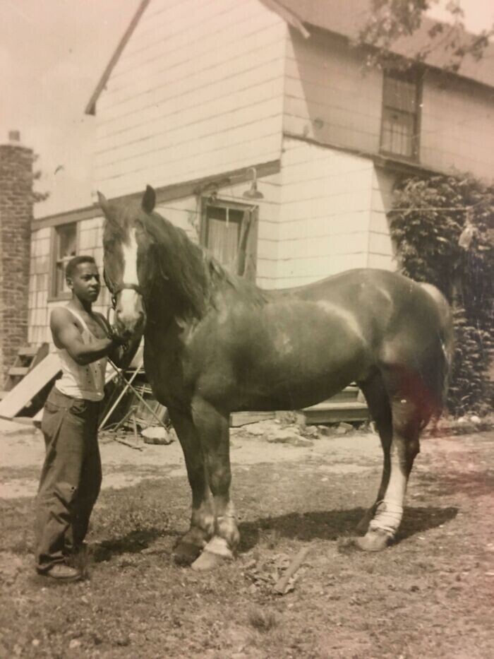 2. "Мой дед и его конь Рубин. 1940-е годы"