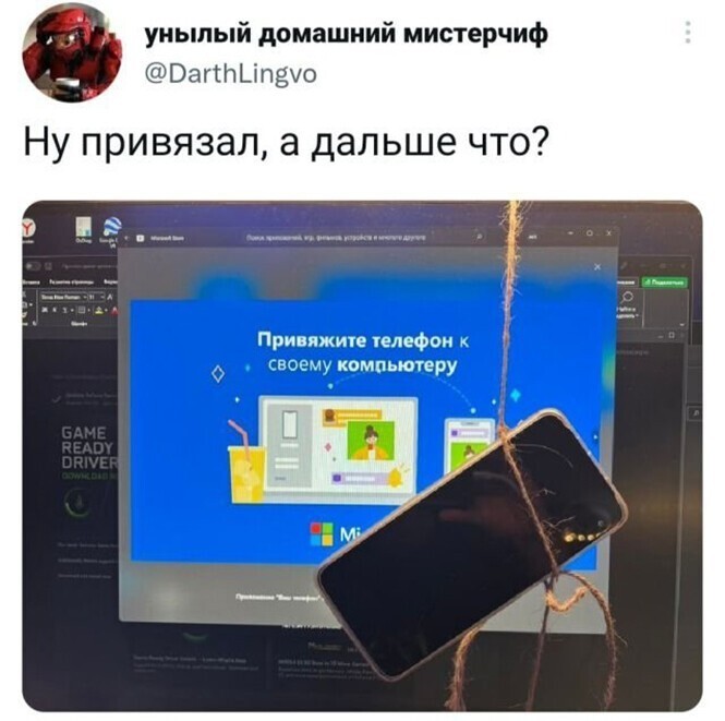 Смешные и познавательные картинки