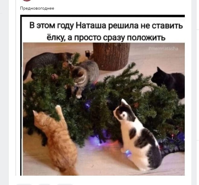 Политический новостной мониторинг. Выпуск 53