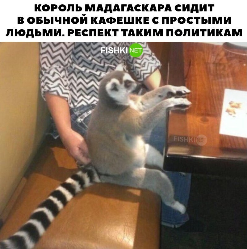 Царь во дворца