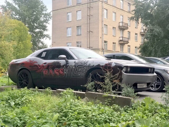 Автовсячина