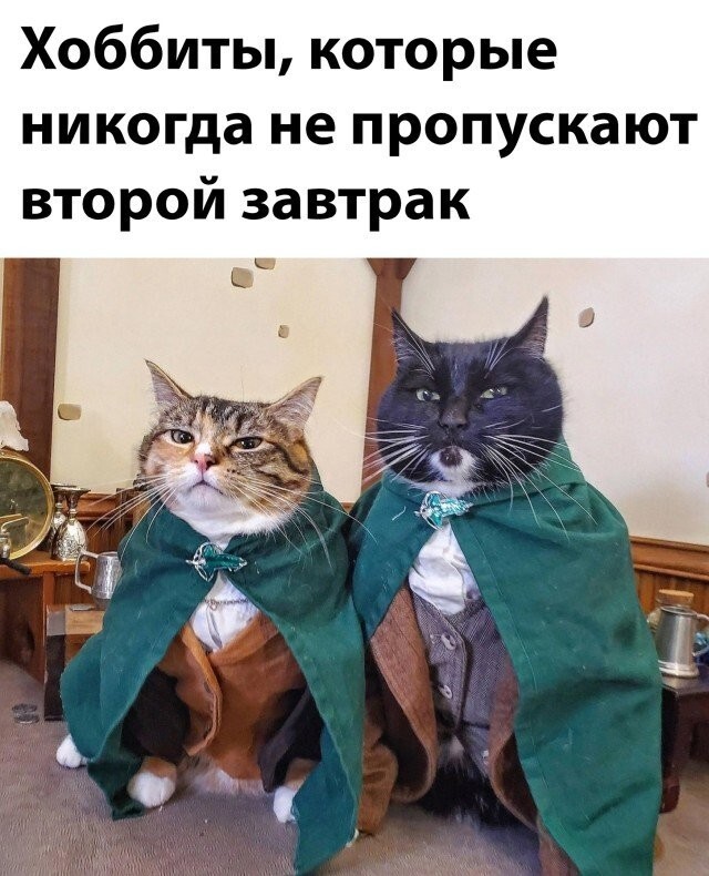 Намешалось