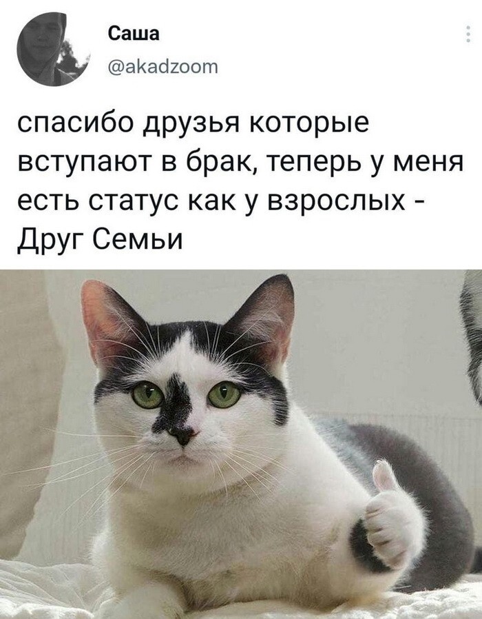 Скрины из соцсетей