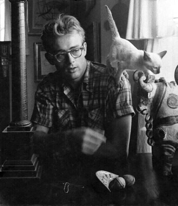 Актер Джеймс Дин со своим котенком Маркусом, 1955 год