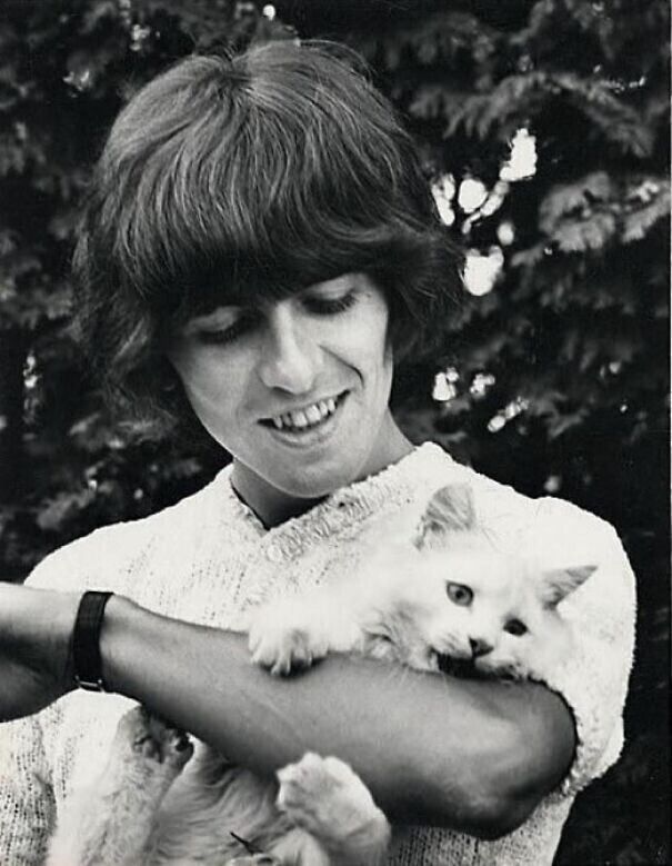 Британский рок-музыкант Джордж Харрисон со своим персидским котом Корки, 1965 год
