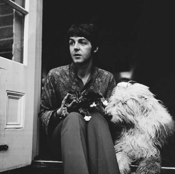 Пол Маккартни со своей собакой и двумя котами в Лондоне, 1967 год