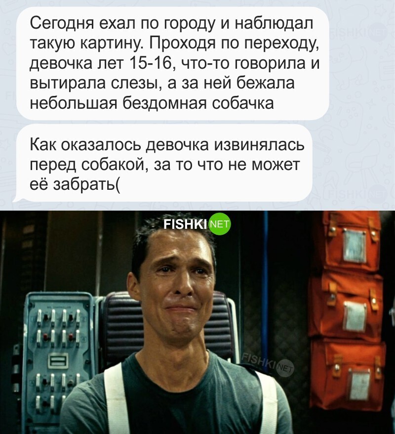 Собачку жалко 