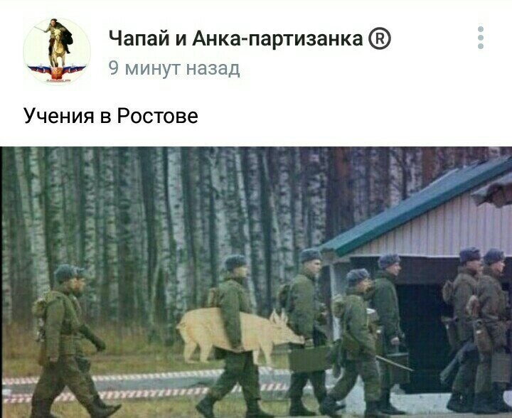 О политике и не только