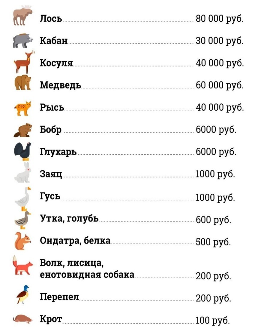 может ли быть штраф за просмотр порно фото 74