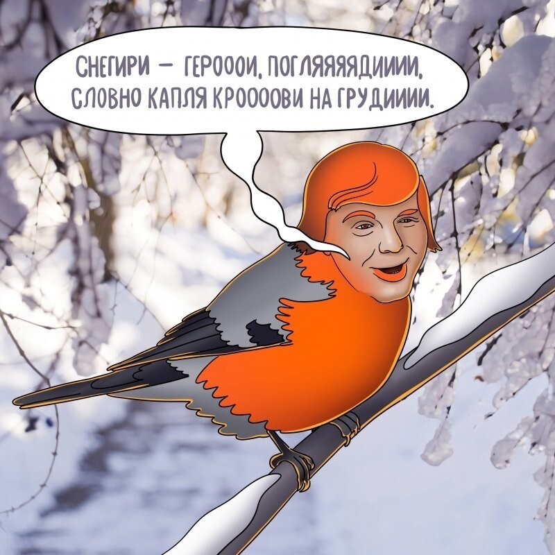 Символы зимы: в Москве появились снегири