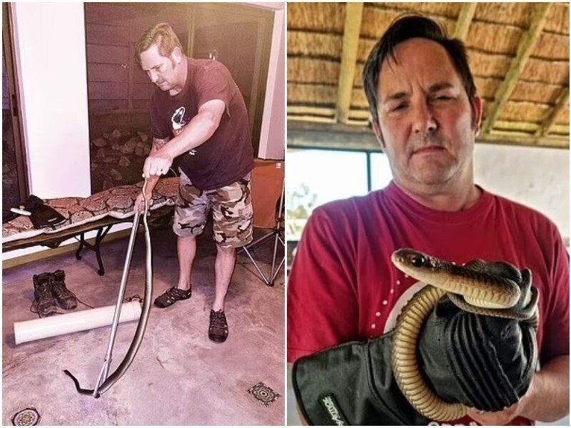 Сюрприз: семья из Кейптауна обнаружила на своей ёлке змею