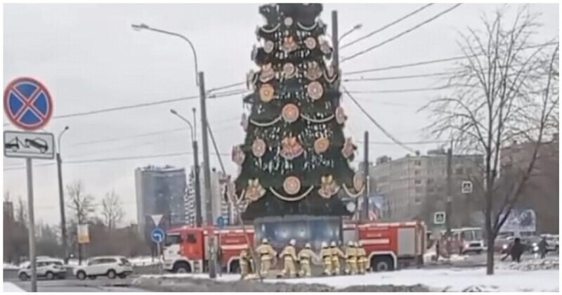 «Ёлочка, гори!»: питерские пожарные водили хоровод вокруг елки