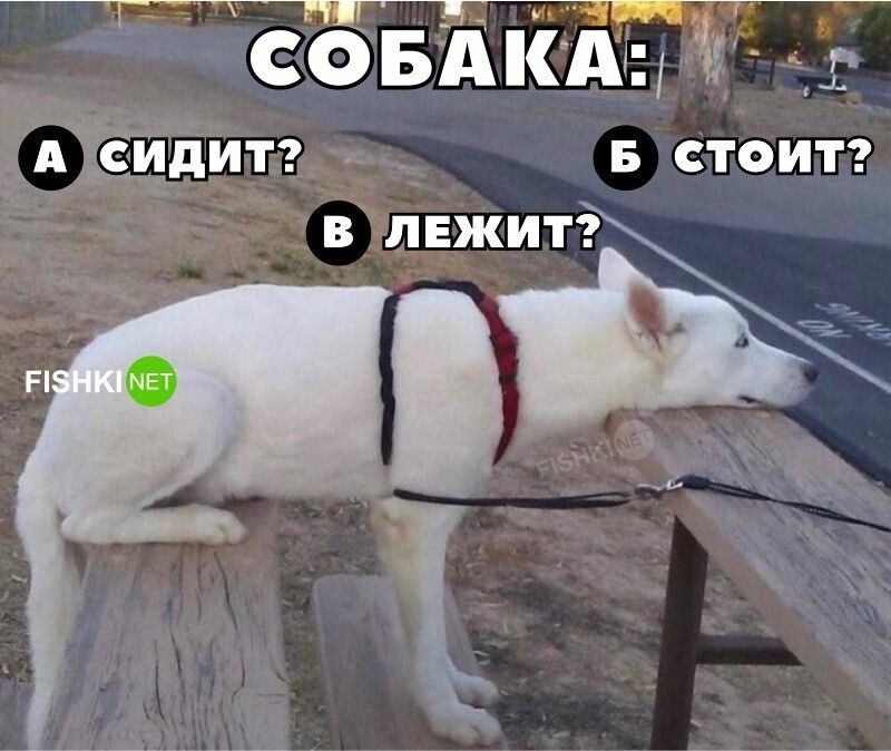 Заходи...Улыбнись...Рыбный день всё-таки