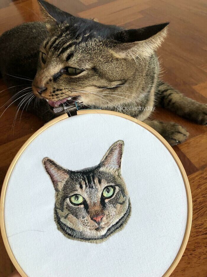 "Кажется, моей кошке не нравится портрет. Может, добавить усы?"