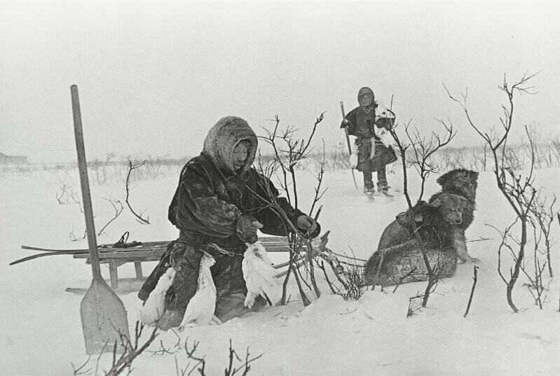 Жизнь в СССР за Северным полярным кругом в 1949 году