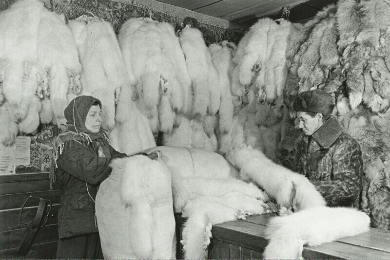 Жизнь в СССР за Северным полярным кругом в 1949 году