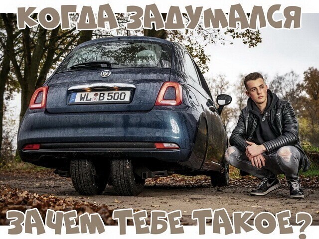 Автовсячина