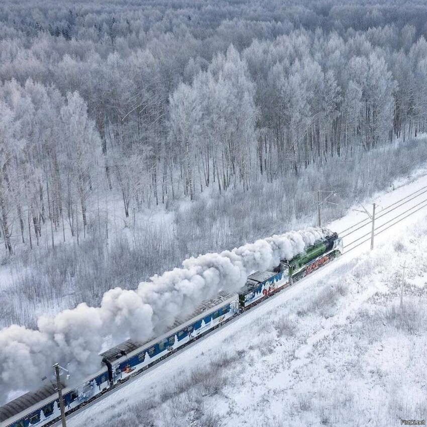 в Вологду из Великого Устюга приехал самый настоящий новогодний паровоз П36, ...