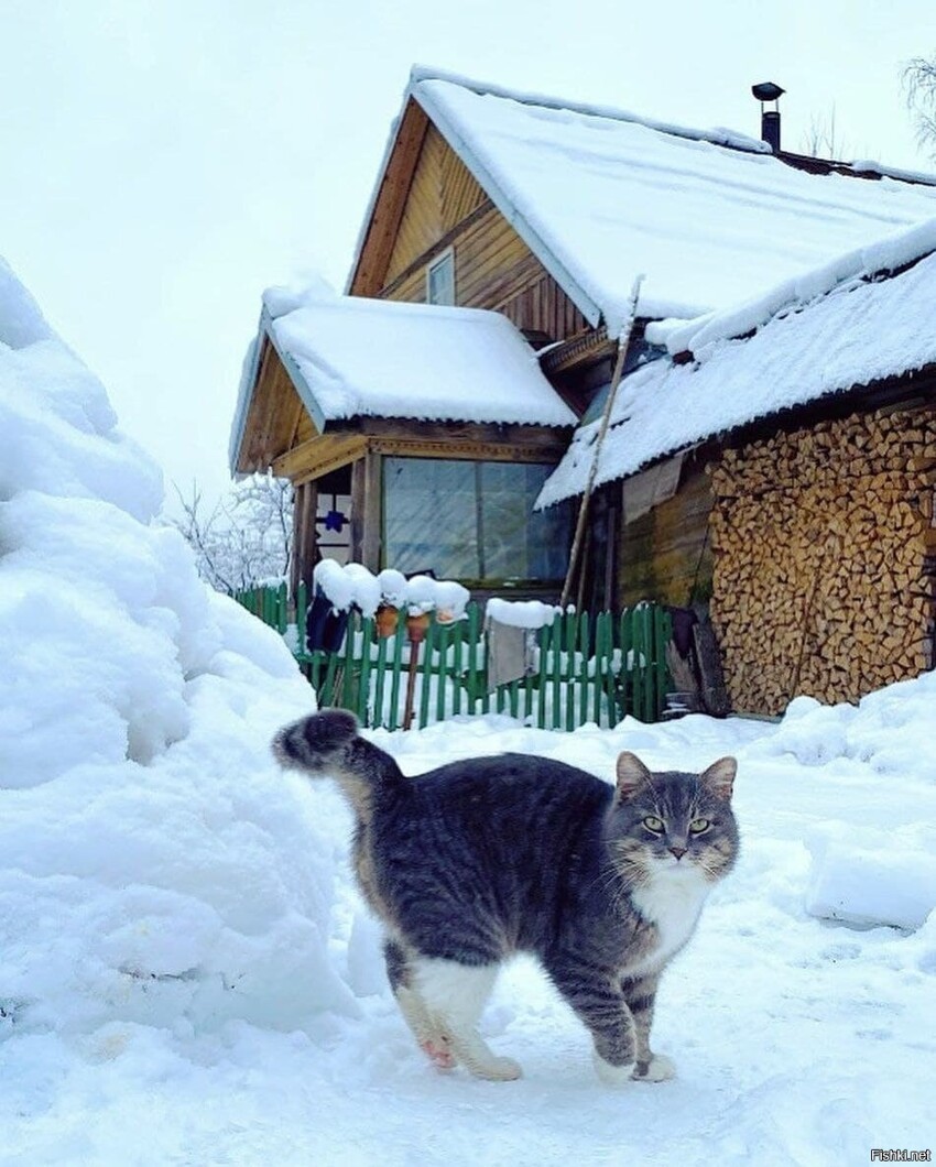 зимняя карусель