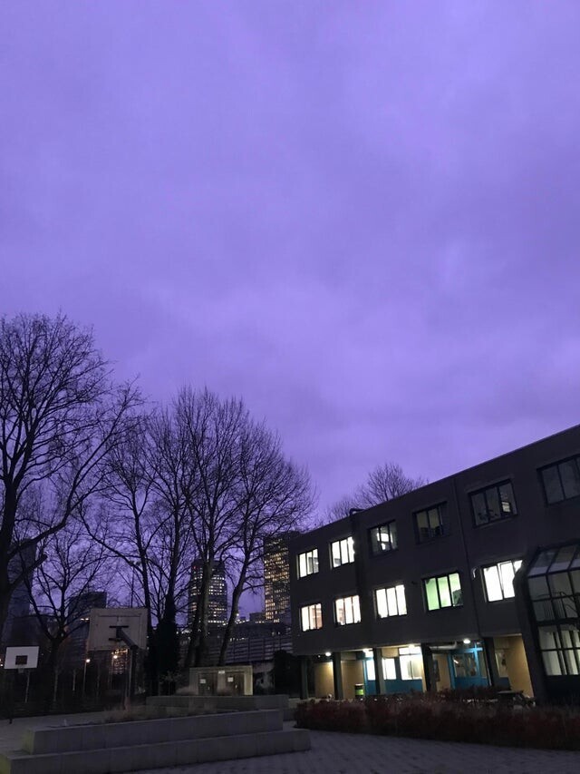 Необычное фиолетовое небо