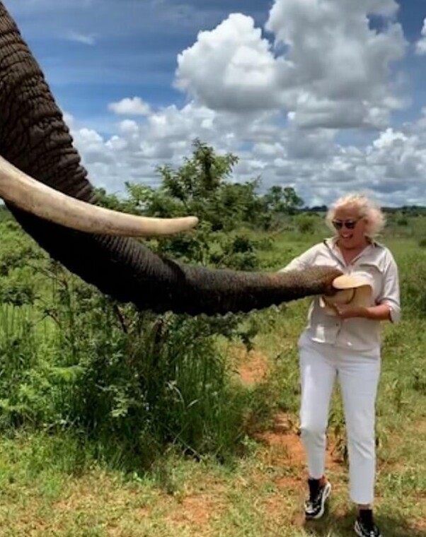 Туристка делала фото со слоном - а тот решил подшутить